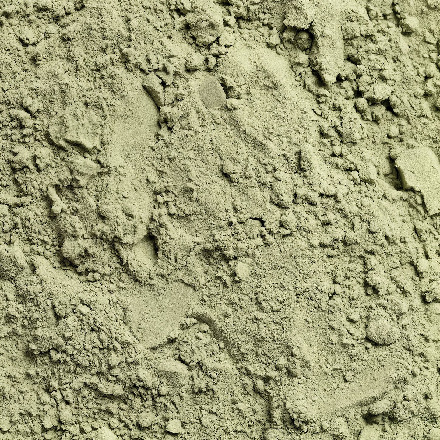 UltraGreens Blend+